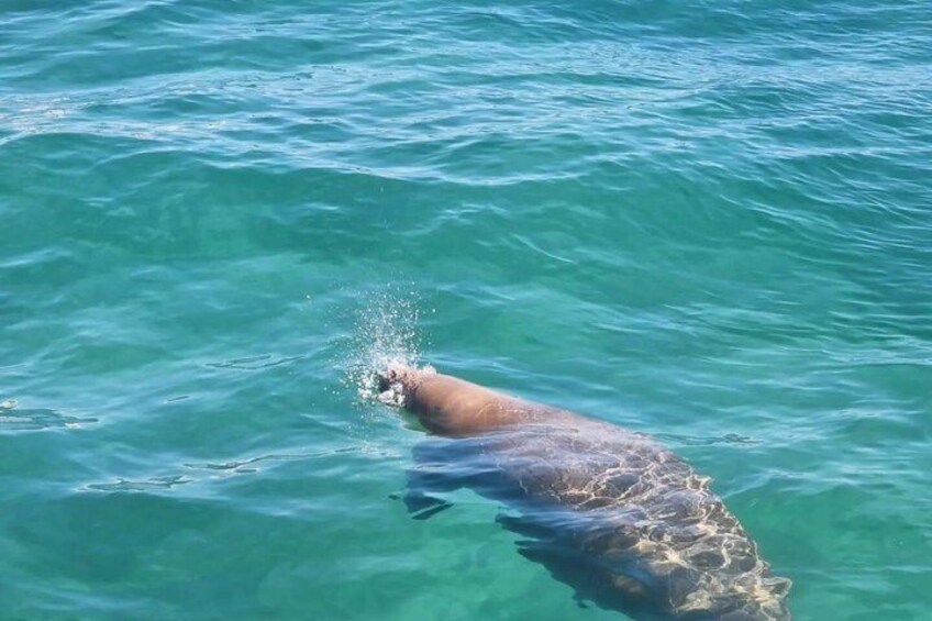 Gold Coast Discovery Kayak Tour Broadwater Nature Adventure 4