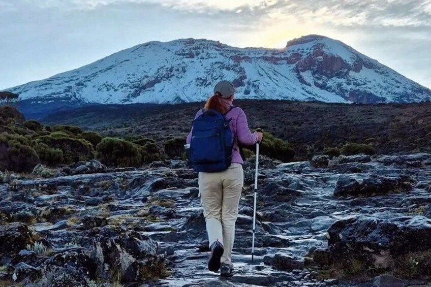 8-Day Kilimanjaro Lemosho Route Joining Group by KILITA SAFARIS 4