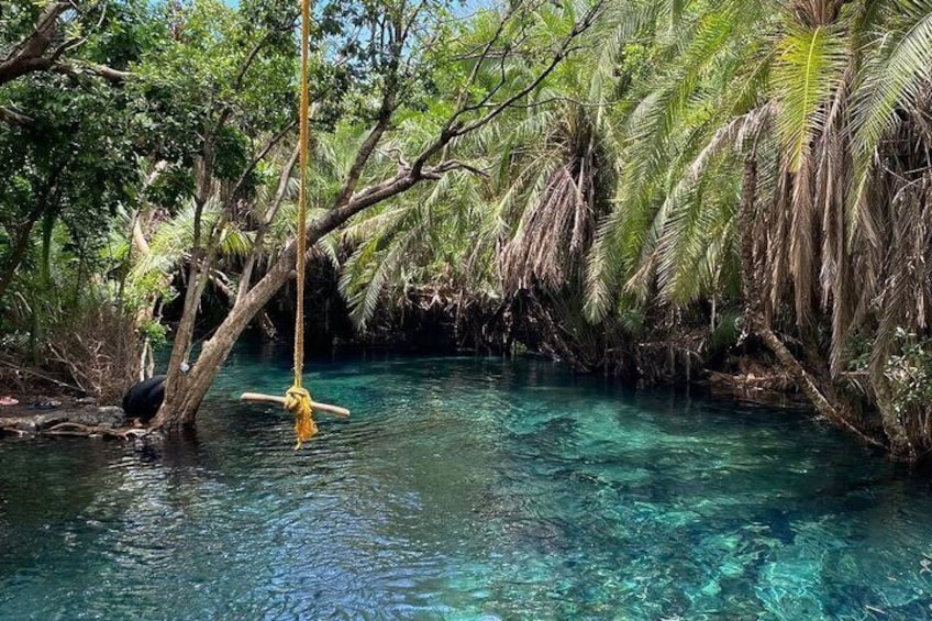 A clear blue water body surrounded by dense tropical foliage and a rope swing. 4