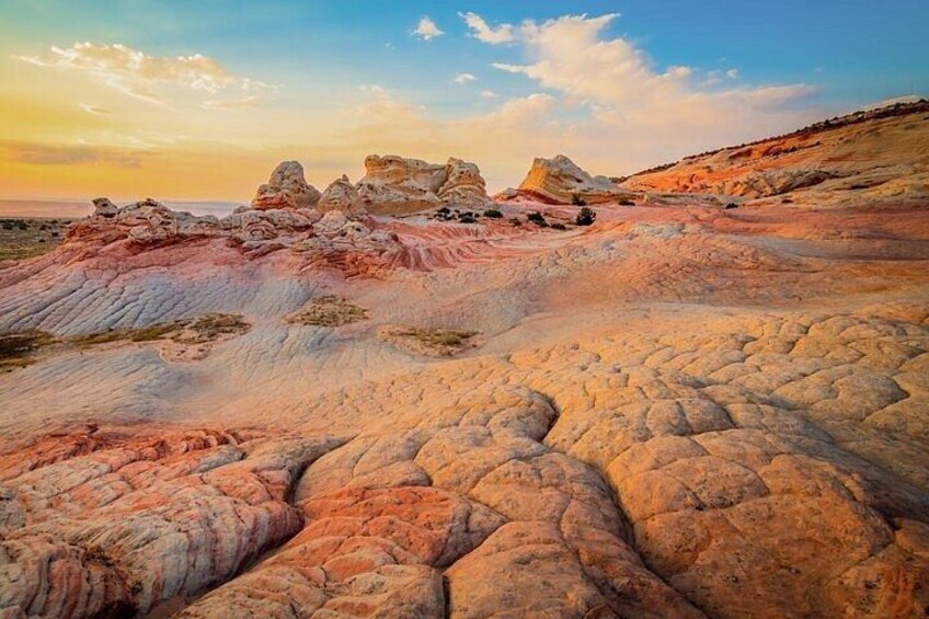 Private Guided Full Day Vehicle Tour to White Pocket 4