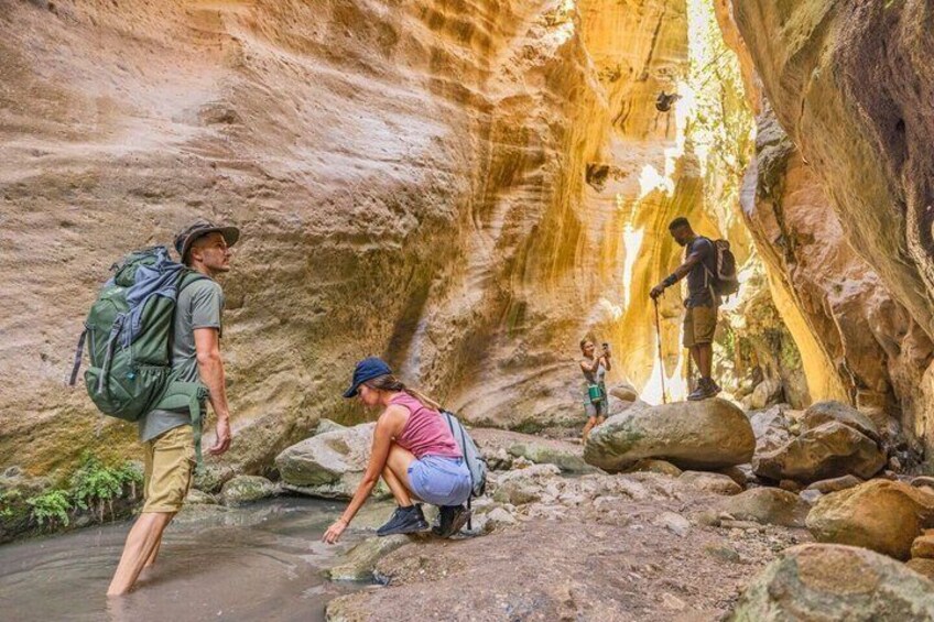 Hikers exploring a narrow canyon with rocky terrain and a stream. 1