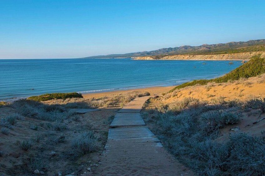 A coastal path leading to a beach with clear skies. 4