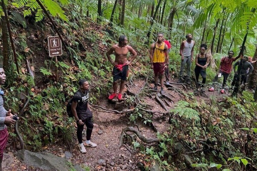 A group of people hiking in a forested area with a sign indicating a walking trail. 3