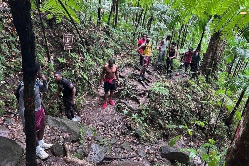 St Kitts to Mount Liamuiga Hiking Tour 2