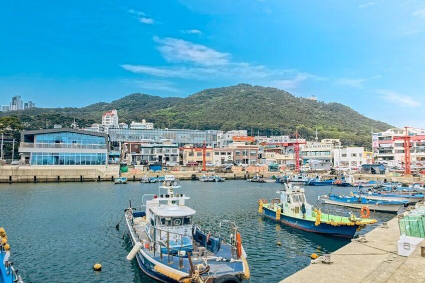 The Essential Busan: Coastal Views, Local Markets & Culture Tour 4