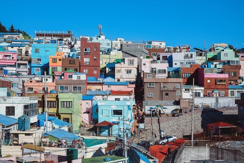 The Essential Busan: Coastal Views, Local Markets & Culture Tour 2