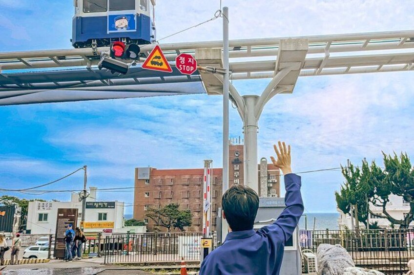 The Essential Busan: Coastal Views, Local Markets & Culture Tour 2