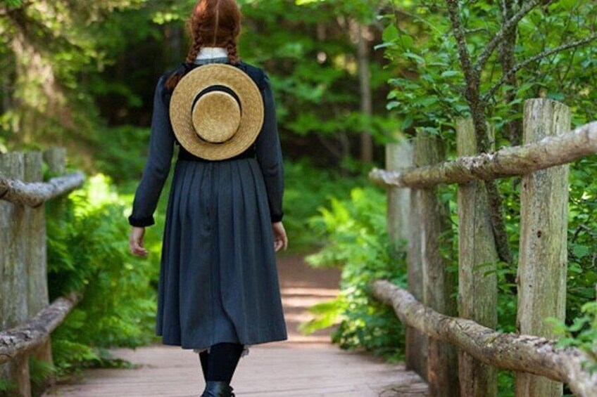 A person walking on a wooden bridge surrounded by greenery. 2