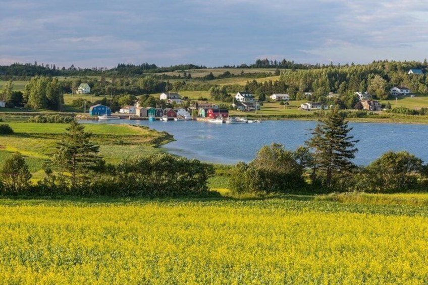 A lakeside village with houses and boats. 3