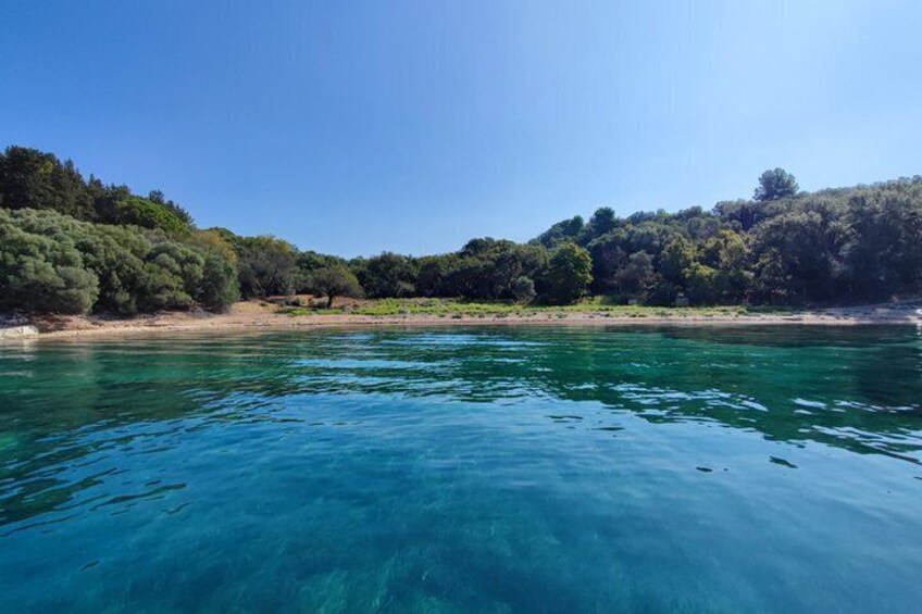 A clear blue sea, a sandy beach, and dense green trees on a hillside. 3