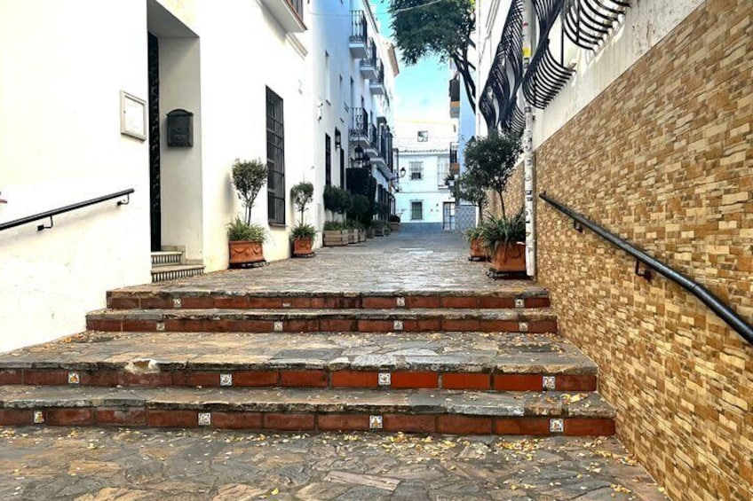 A narrow street with stone steps leading to a building entrance, flanked by brick walls and potted plants. 4