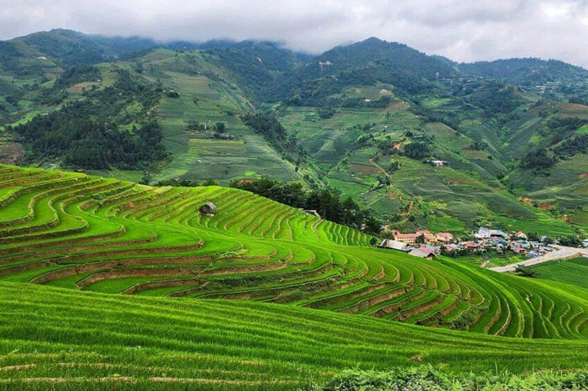 Terraced rice fields, a small village, and rolling hills in the background. 4