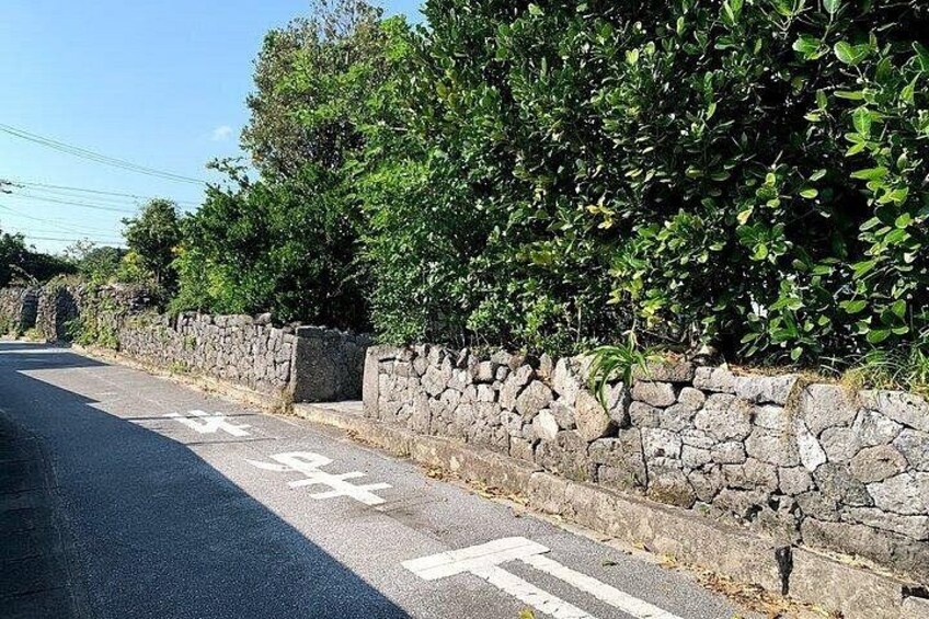 A road with a stone wall on one side and a hedge on the other. 2