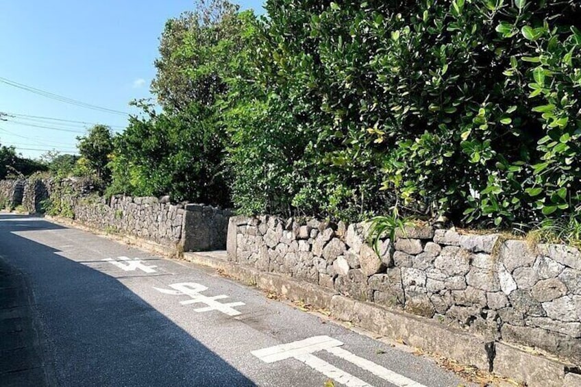 A road with a stone wall on one side and a hedge on the other. 3