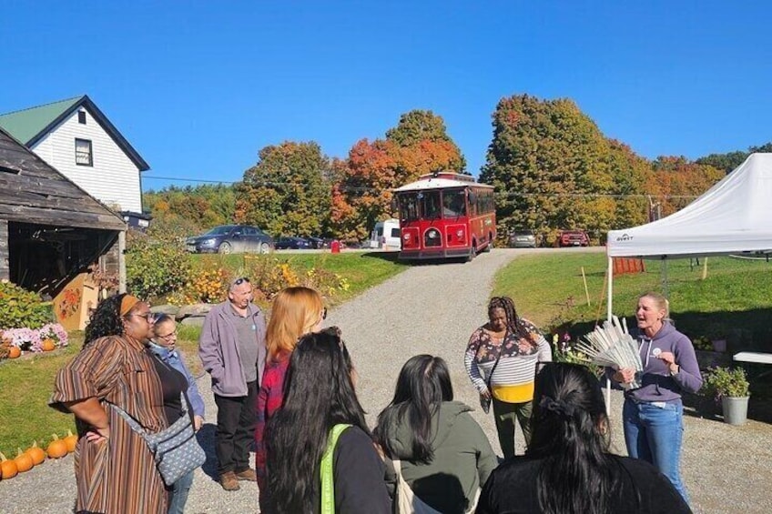 A group of people standing on a path with a red trolley in the background. 3