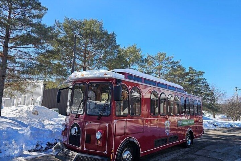 A red bus parked on a snow-covered road with trees in the background. 2