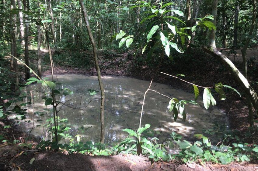 Private Mekong Coconut Island and Cu Chi Tunnels Day Tour 3