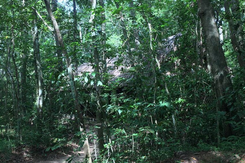 Private Mekong Coconut Island and Cu Chi Tunnels Day Tour 2