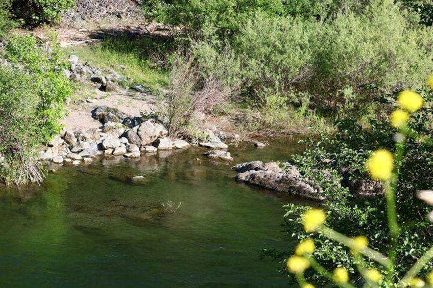 A clear stream with rocks and greenery. 3