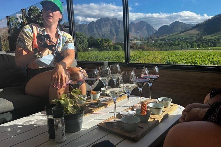 A person sitting at a table with wine glasses and a plant, overlooking a vineyard and mountains. 3