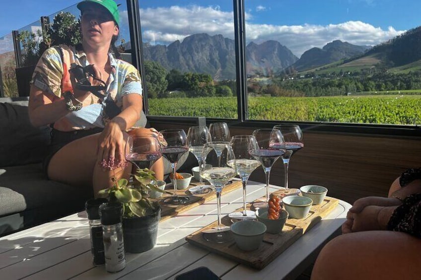 A person sitting by a table with wine glasses and a plant, overlooking a vineyard and mountains. 3
