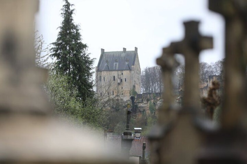 A castle with a tower, surrounded by trees and a fence. 2
