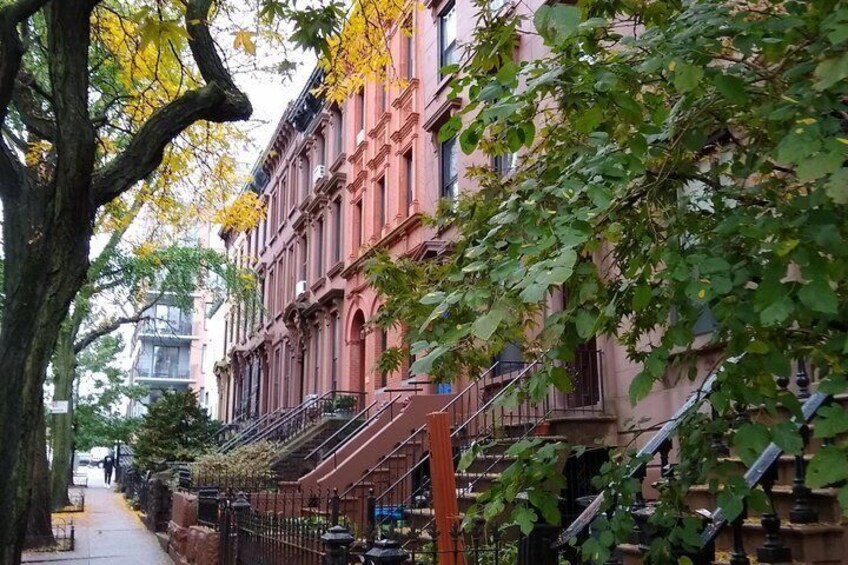 A row of red brick buildings with green trees and a sidewalk. 4