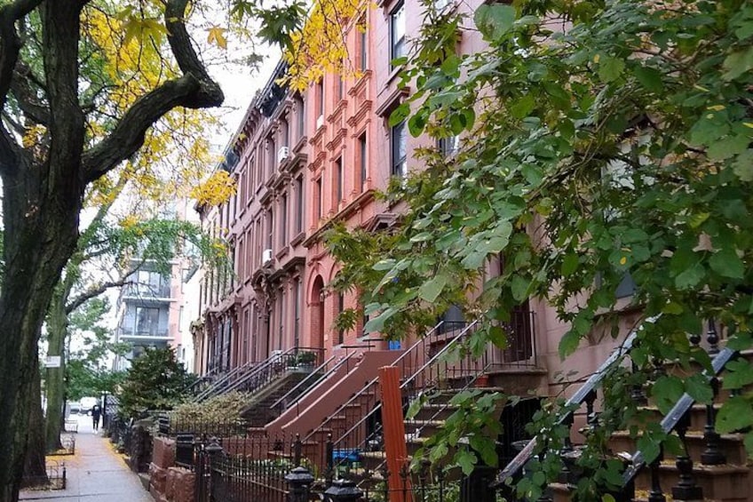 A row of red brick buildings with green foliage and a tree with yellow leaves. 2