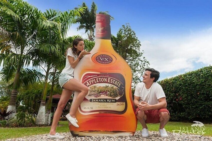 A large bottle of Appleton Estate rum, a tropical outdoor setting with palm trees and a clear sky. 4