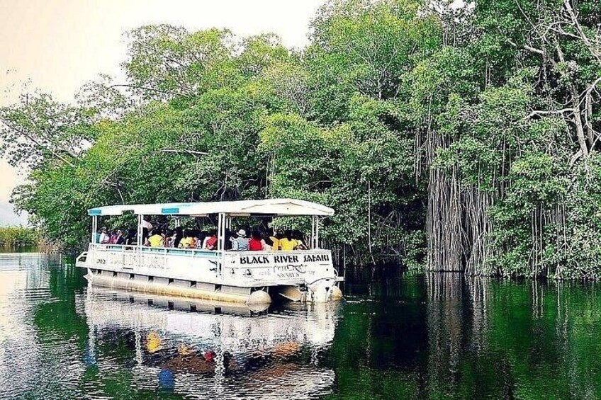 A boat named 'Black River Safari' on a calm river surrounded by dense greenery. 5