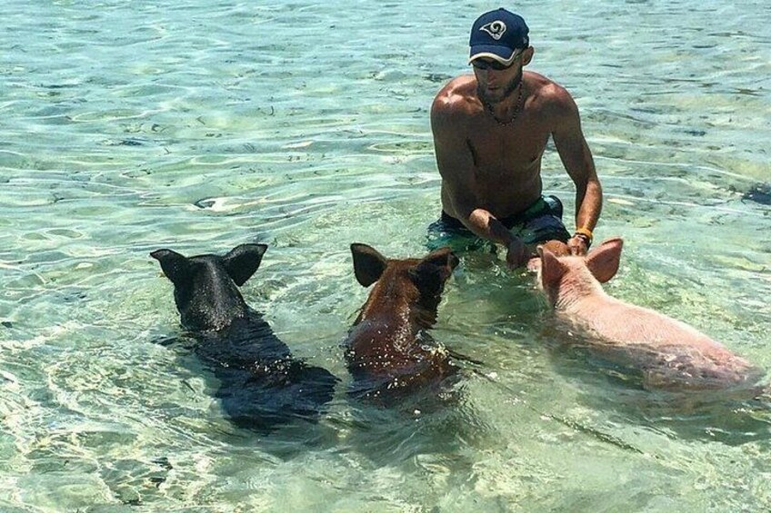 A man in a cap and shorts interacting with two dogs in clear shallow water. 5