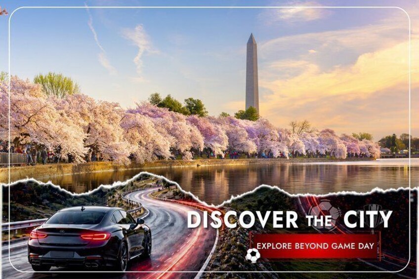 A car driving on a road with cherry blossoms and the Washington Monument in the background. 2