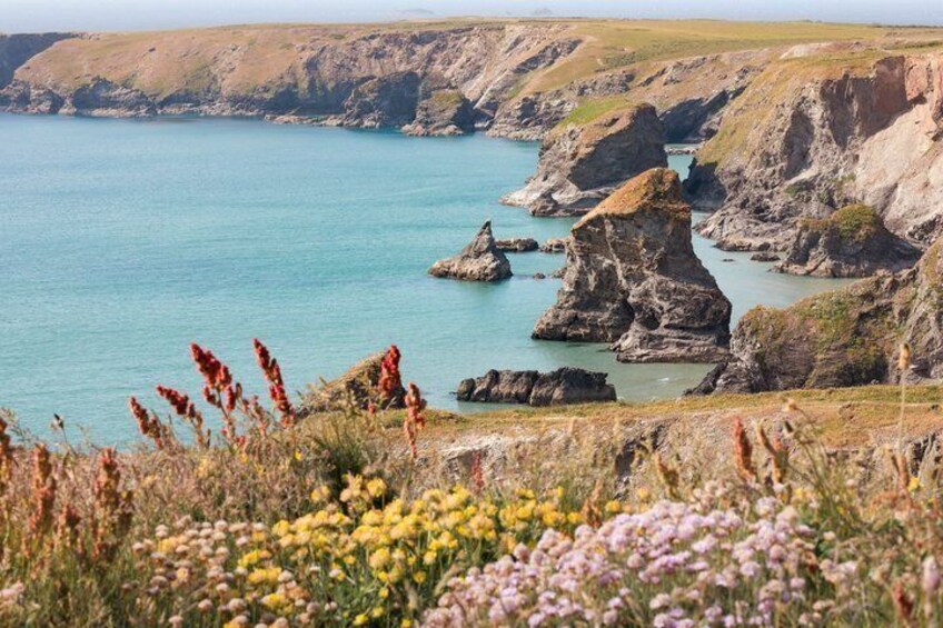 Doc Martin North Cornwall Discovery in Falmouth Private Tour 2