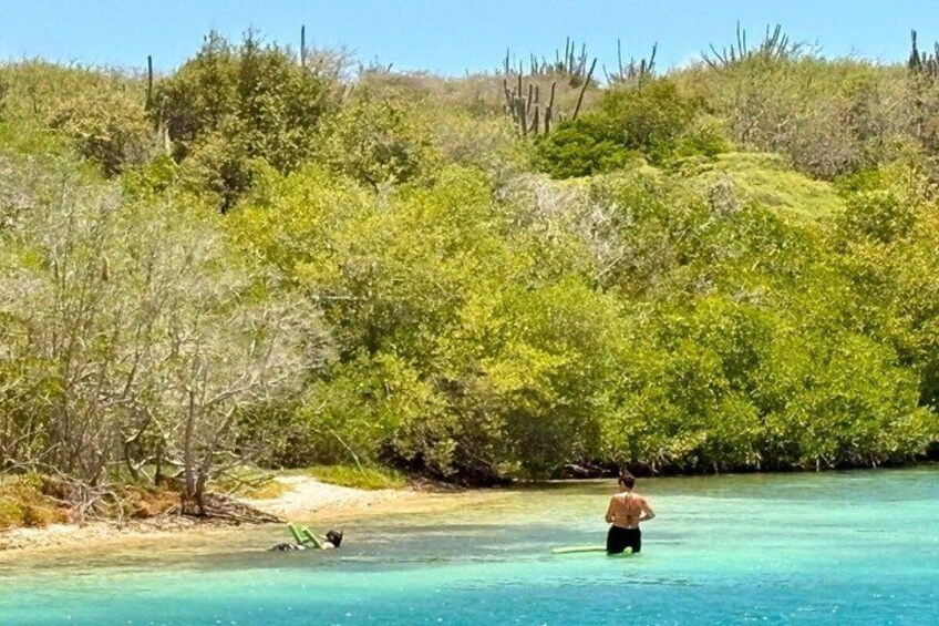 Curacao: Private Luxury Boat Tour Half Day 4