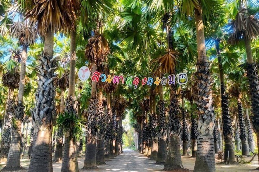 A pathway lined with tall palm trees under a clear sky. 4