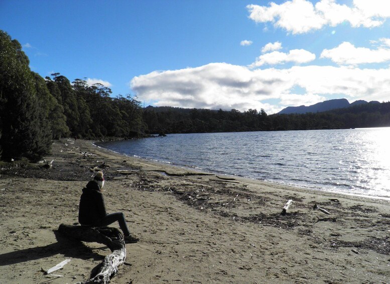 Picture 24 for Activity From Hobart: 5-Day Tasmania West & East Coast Tour 4