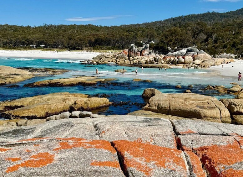 Picture 24 for Activity From Hobart: 5-Day Tasmania West & East Coast Tour 5