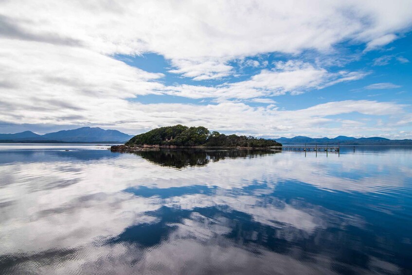 Picture 22 for Activity From Hobart: 5-Day Tasmania West & East Coast Tour 3
