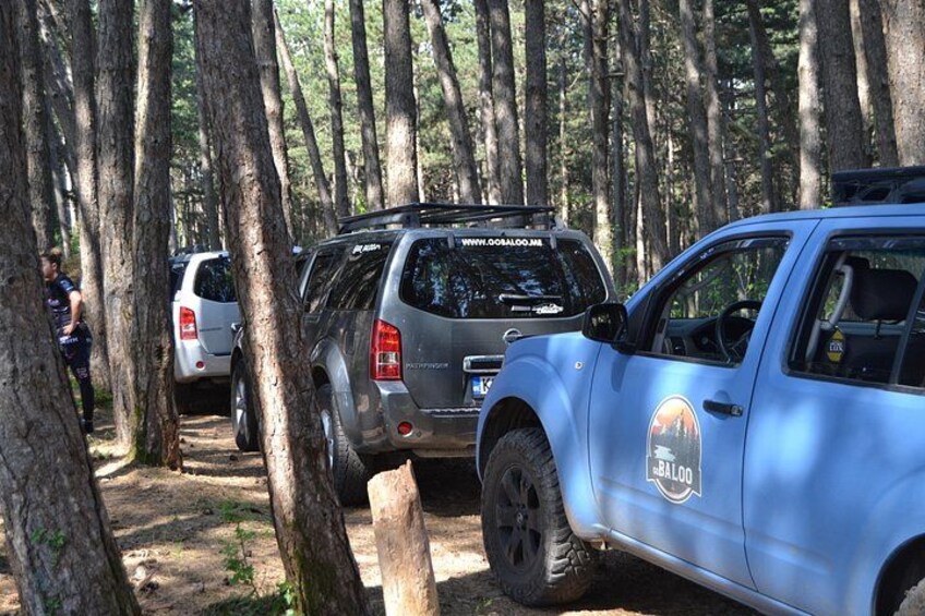 Off-road Jeep drive through Montenegro’s pine forests, offering an authentic outdoor adventure near the Bay of Kotor. 2