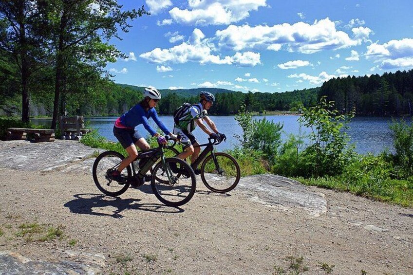 Bike Rentals Treetop Walk Package 4