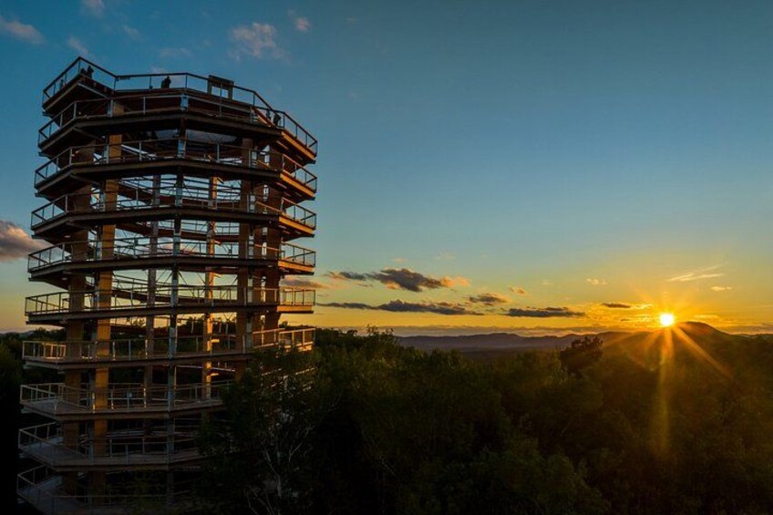 Bike Rentals Treetop Walk Package 2