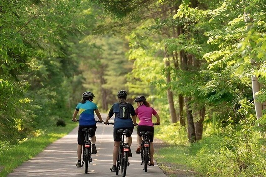 Bike Rentals Treetop Walk Package 3
