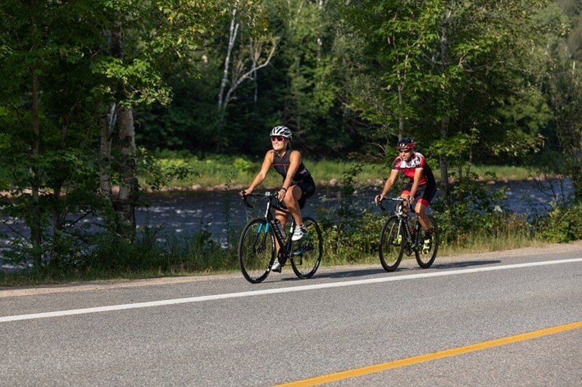 Bike Rentals Treetop Walk Package 5