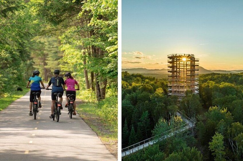 Bike Rentals Treetop Walk Package 1