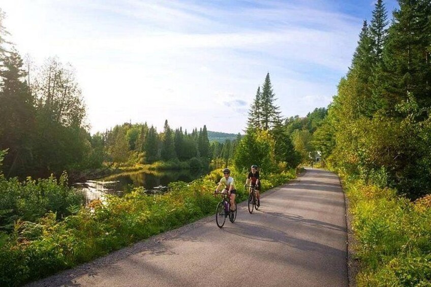 Bike Rentals Treetop Walk Package 2