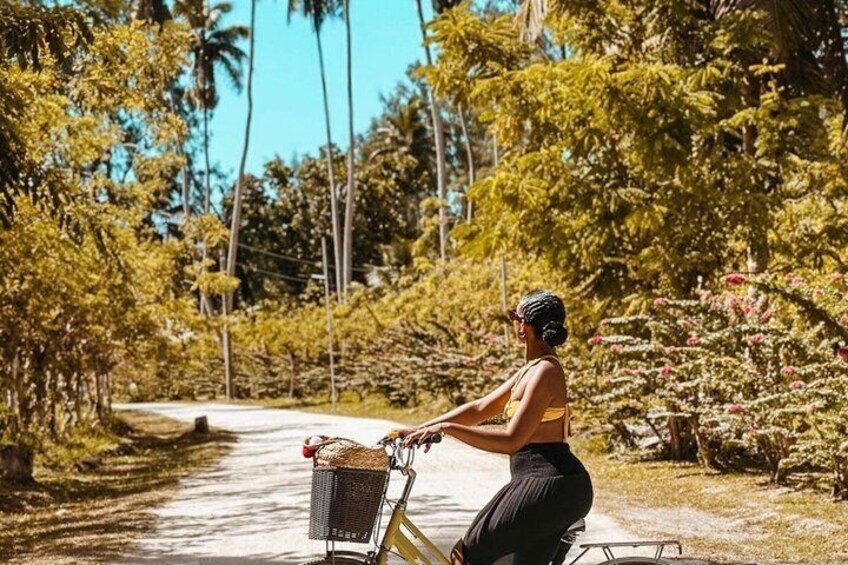 A person riding a bicycle on a paved path surrounded by lush greenery and trees. 1