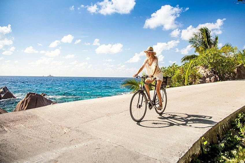 A person riding a bicycle on a paved path by the ocean, with palm trees and rocks in the background. 2