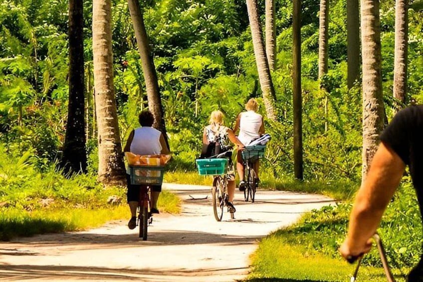 Three people riding bicycles on a paved path surrounded by greenery. 3