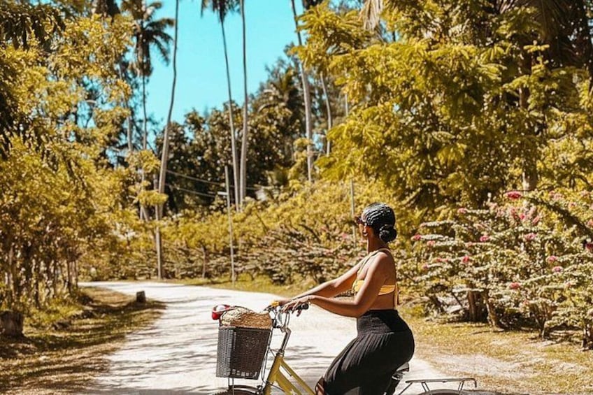 A person riding a bicycle on a paved path surrounded by lush greenery and trees. 1