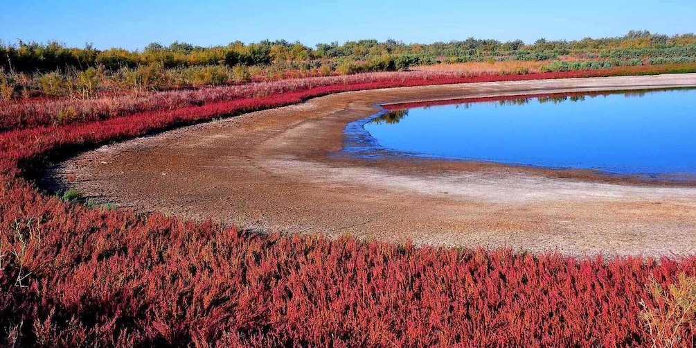 A natural landscape with a reflective water body surrounded by red vegetation. 2